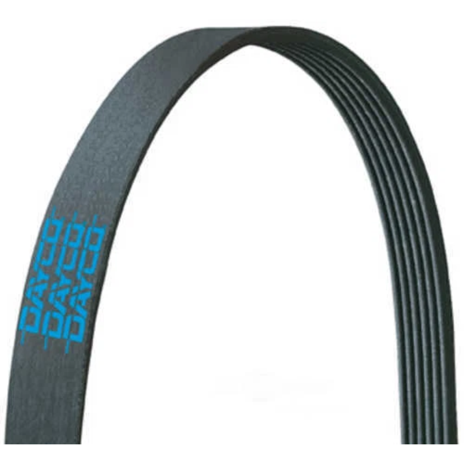 Serpentine Belt (D11/D13 ACC)